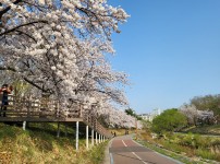  width: 100%; height : 150px
