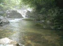  width: 100%; height : 150px